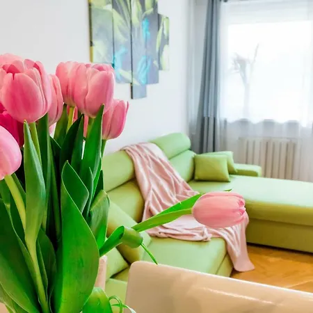 Wisla View Apartament *